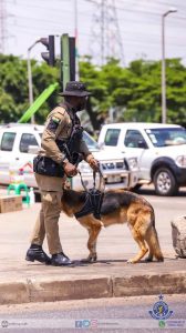 Police to fight crime with dogs